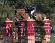 Fochi Qaro Dan TosTour2013- S5 2224 : Arezzo, Arezzo Equestrian Centre, Fochi Edoardo, Qaro Dan, Toscana Tour 2013, foto di Stefano Secchi ©